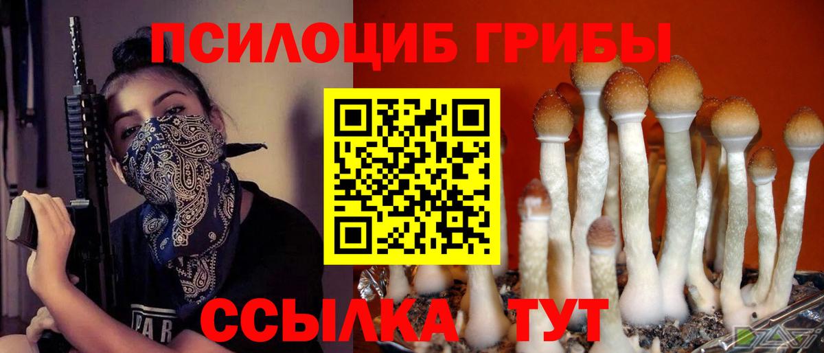 Псилоцибиновые грибы Cubensis Миасс