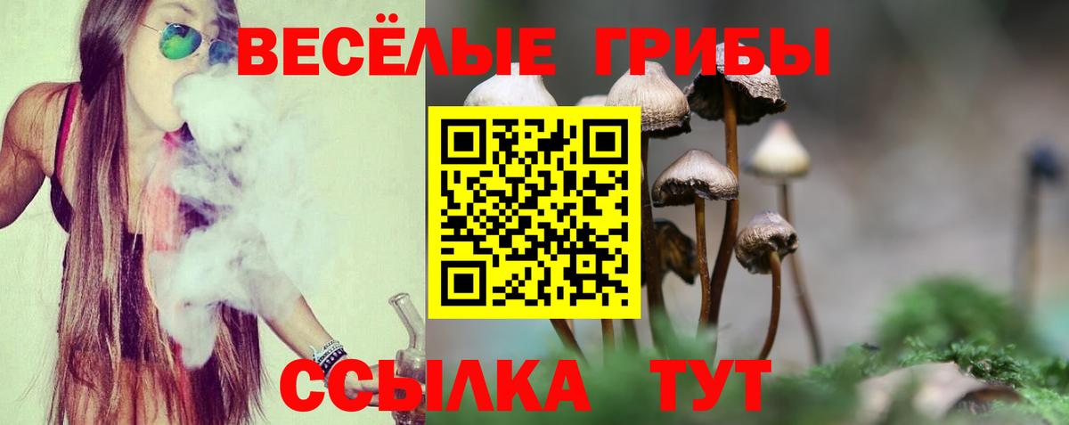Миасс  Псилоцибиновые грибы мухоморы  Вход с VPN 